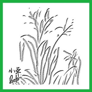 老婆爱黑哥小说
