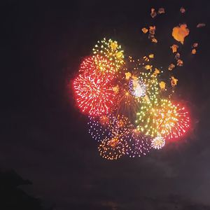 老婆爱黑哥小说
