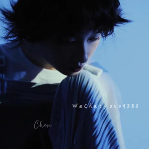 老婆爱黑哥小说
