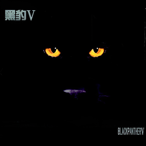 老婆爱黑哥小说
