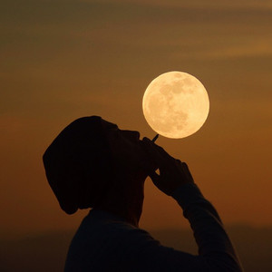 老婆爱黑哥小说
